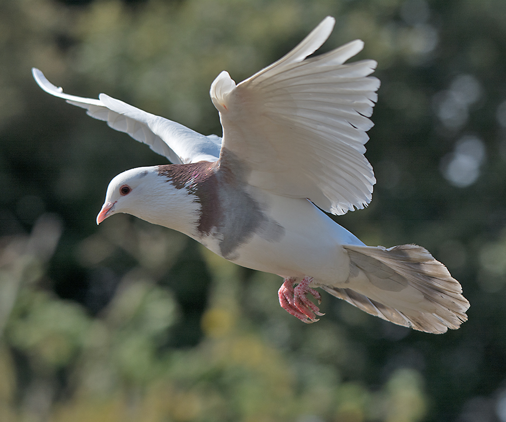 DSC_2876.jpg