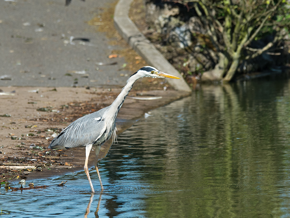 DSC_2877.jpg