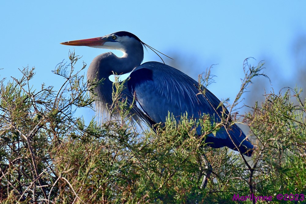 DSC_2877_001.JPG