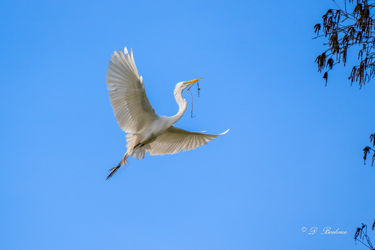 DSC_2880.jpg