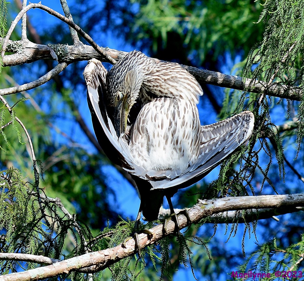 DSC_2880_001.JPG