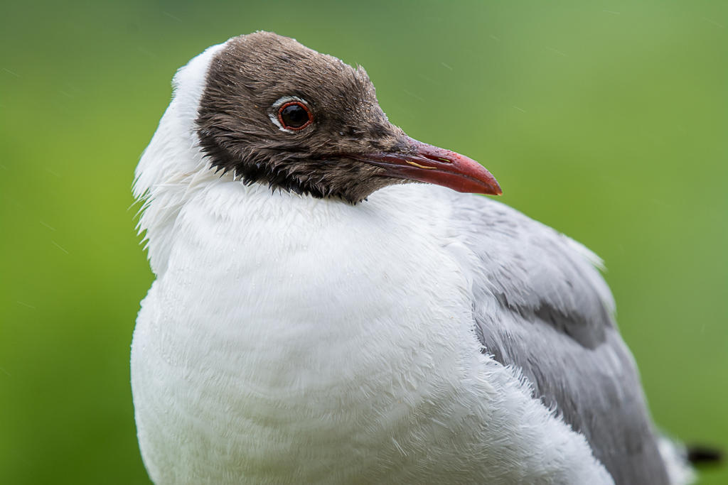 DSC_2886.jpg