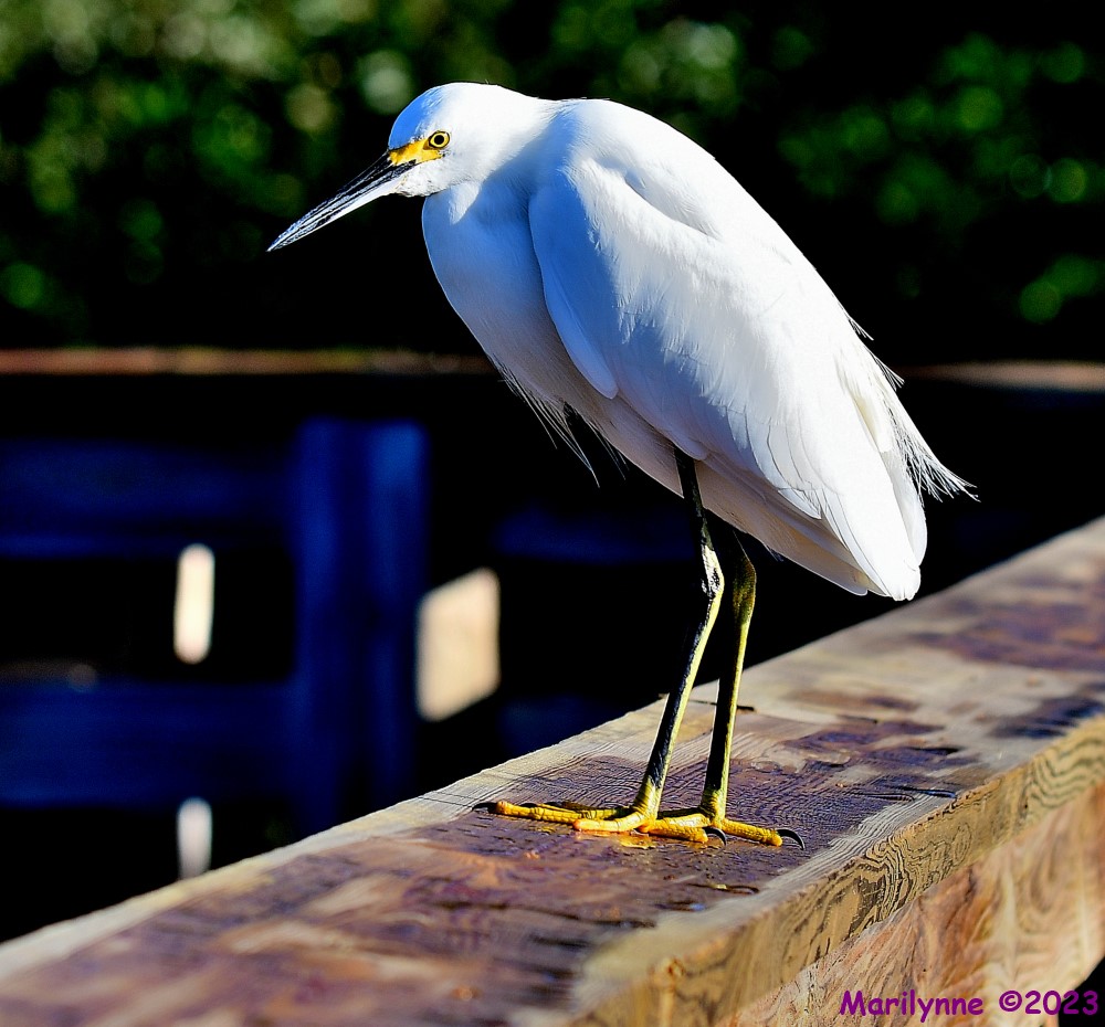DSC_2887_001.JPG