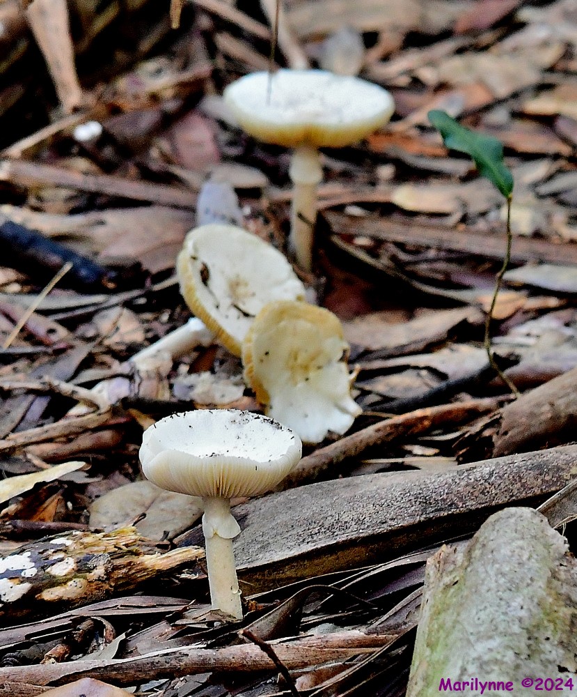 DSC_2889_001.JPG