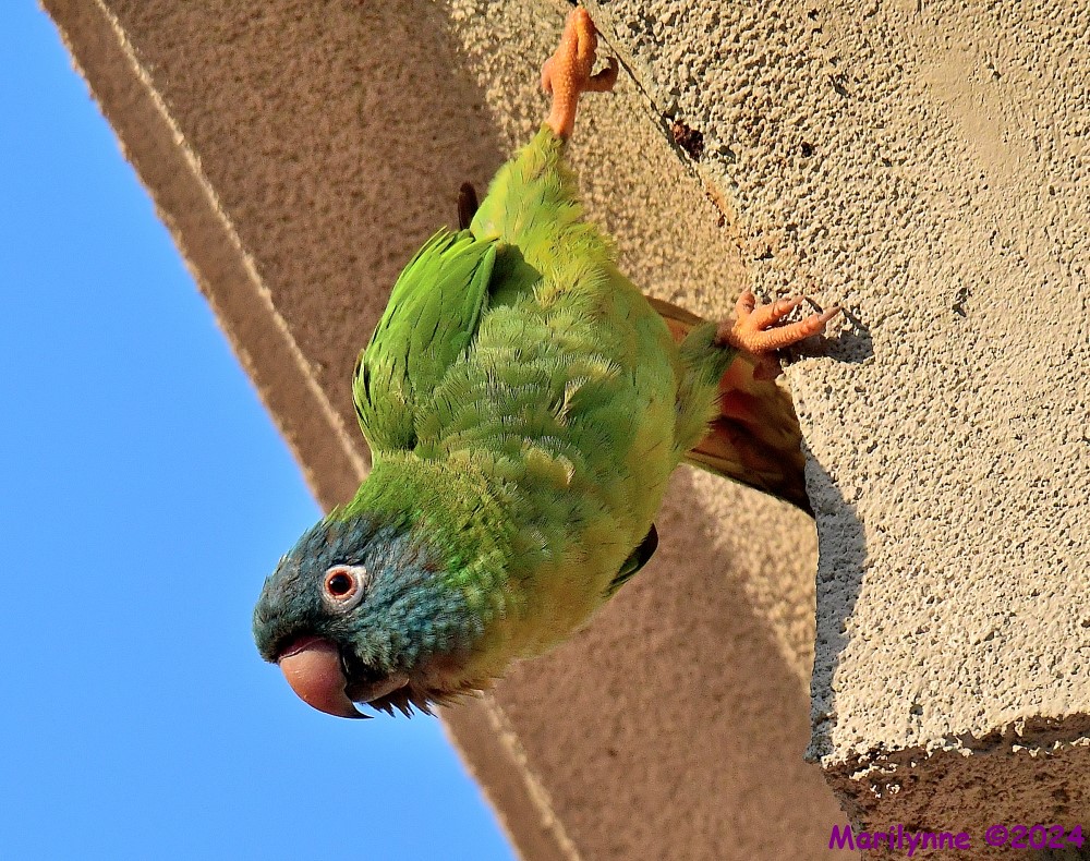 DSC_2890_001.JPG