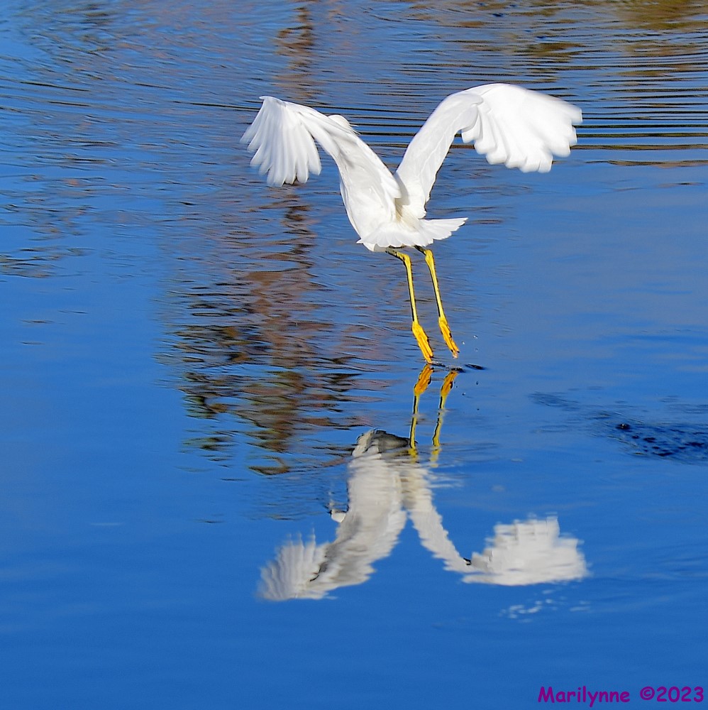 DSC_2892_001.JPG