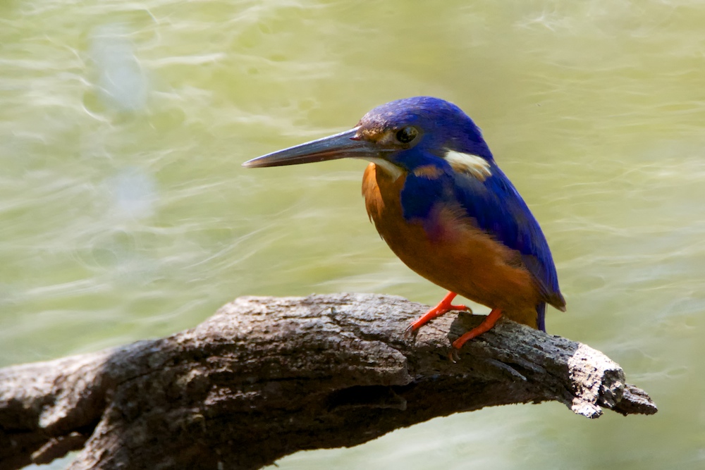 DSC_2893.jpg