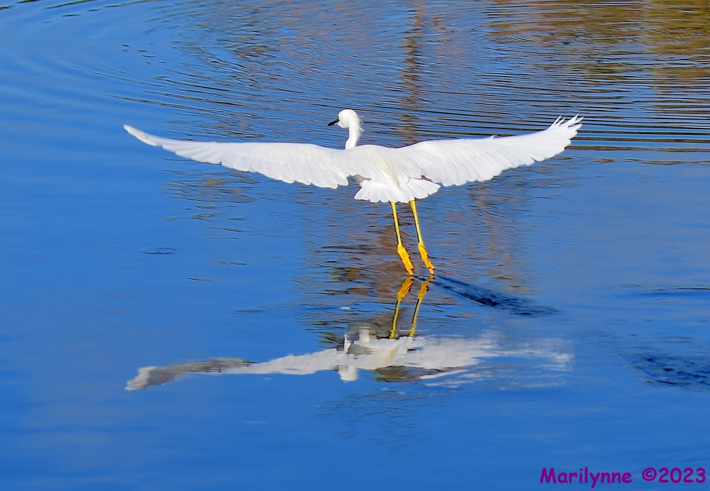 DSC_2893_001.JPG