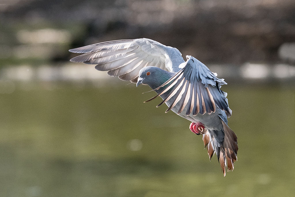 DSC_2896.jpg