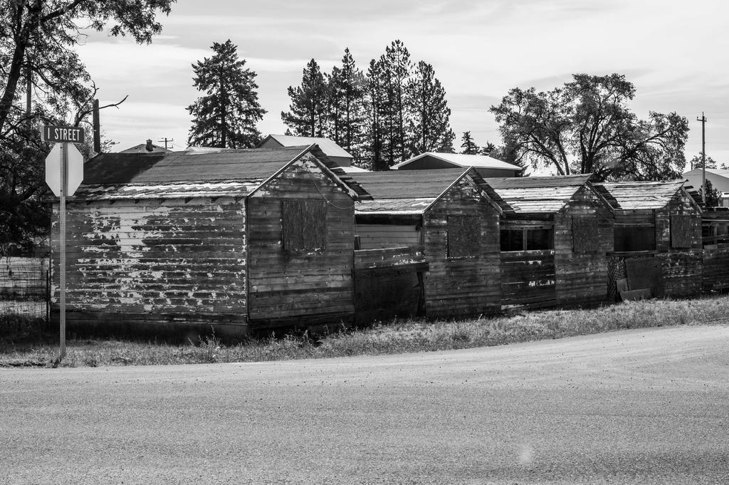 DSC_2896.jpg