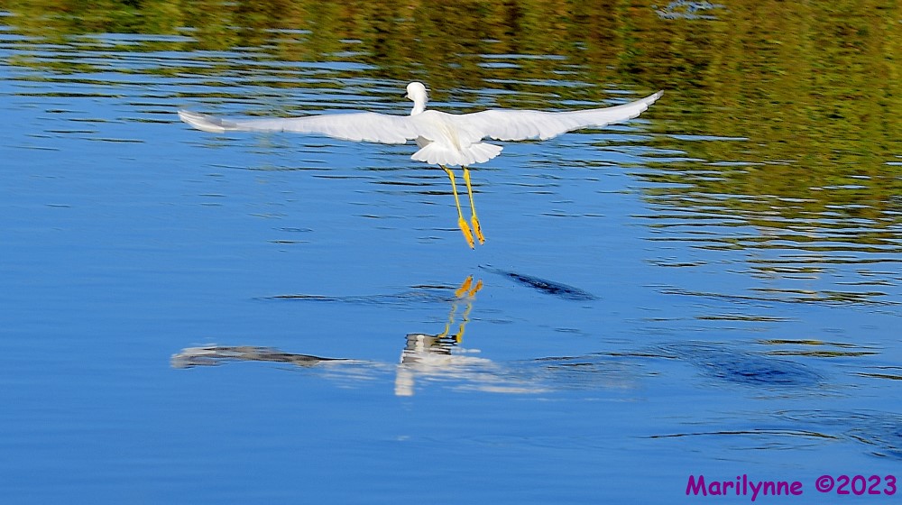 DSC_2896_001.JPG
