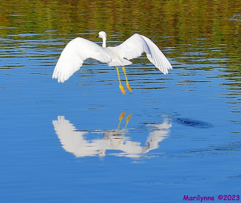 DSC_2897_001.JPG