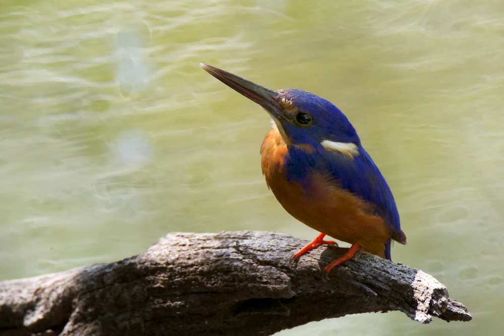 DSC_2900.jpg