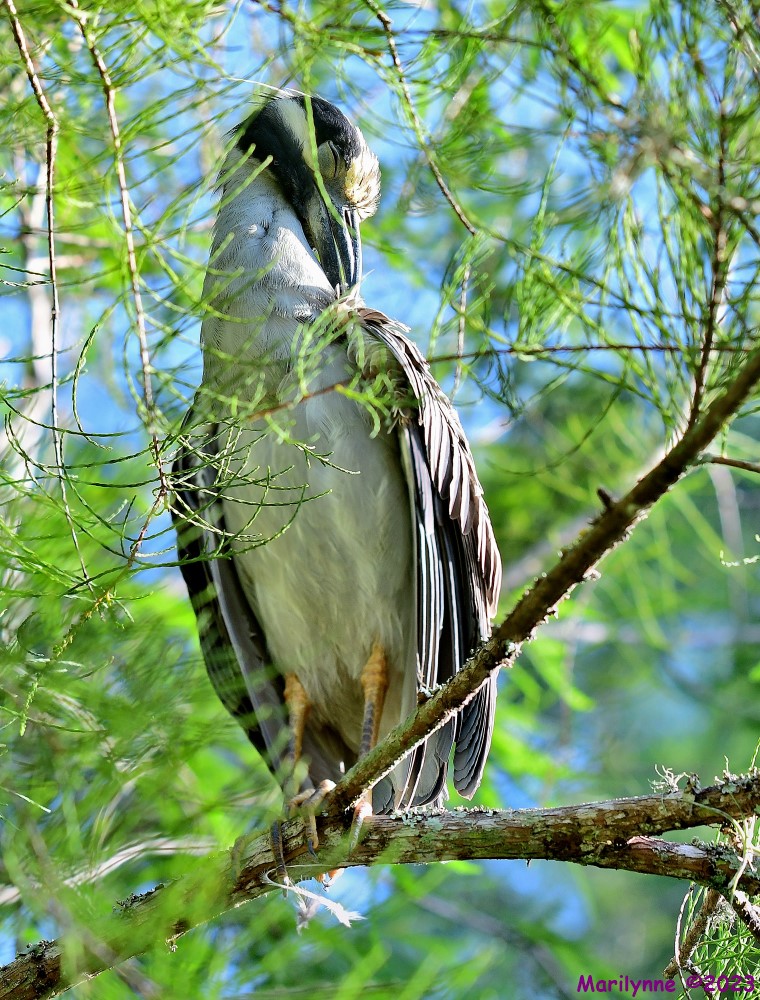 DSC_2900_stitch3_001.JPG