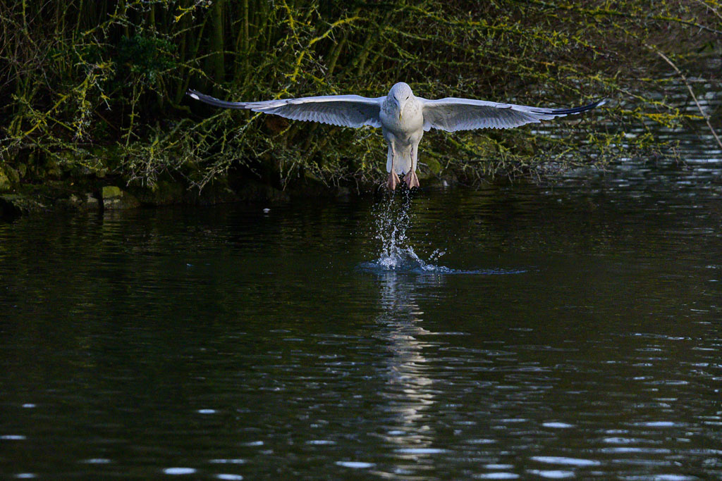 DSC_2902.jpg