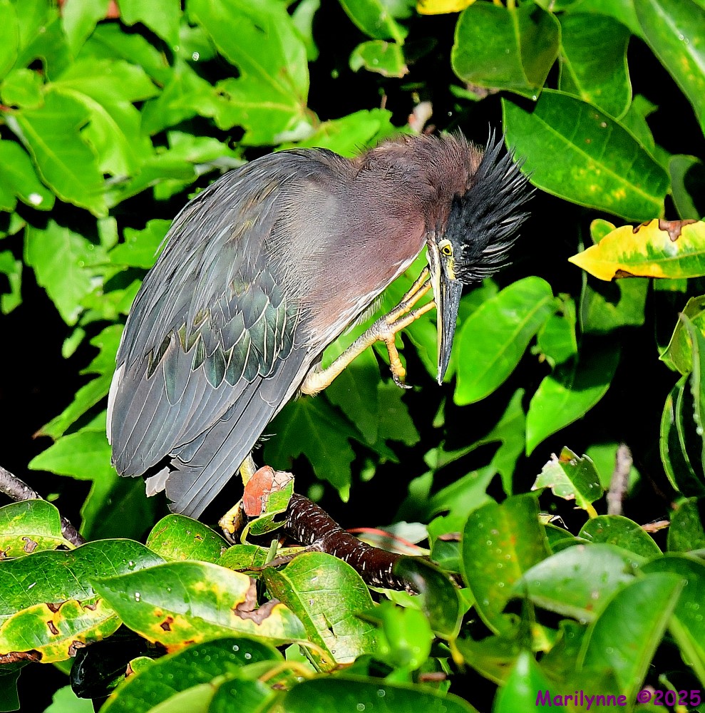 DSC_2902_001.JPG