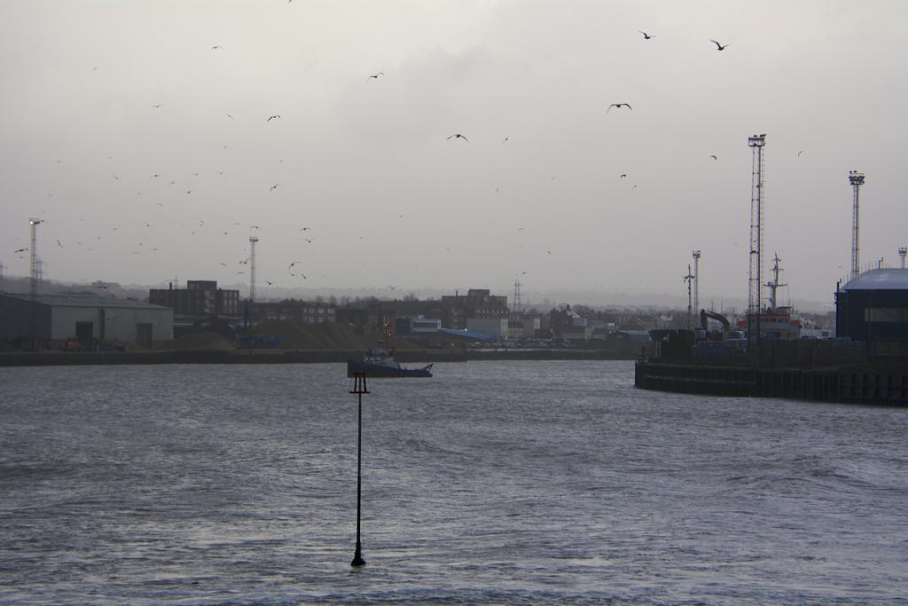 DSC_2907.jpg