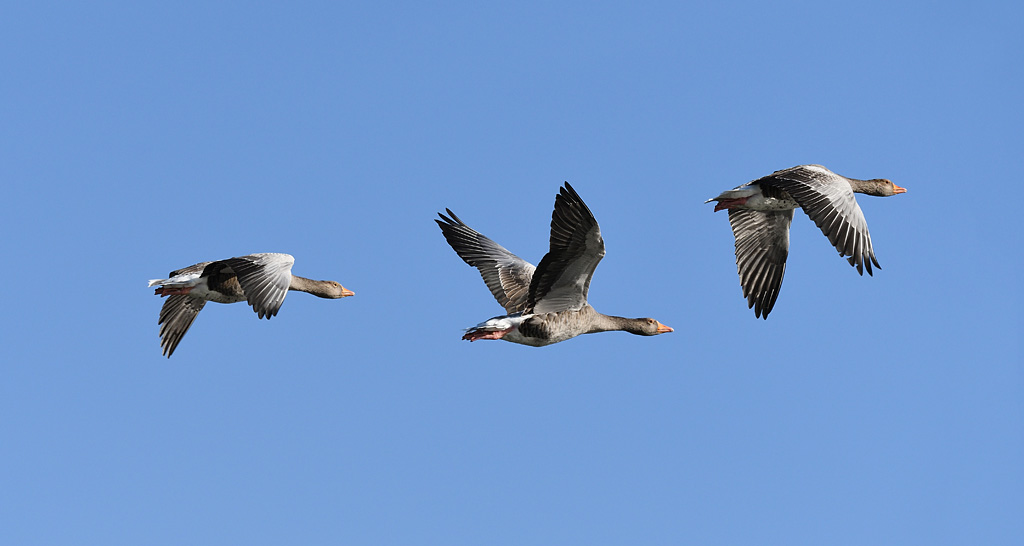 DSC_2918_028.jpg