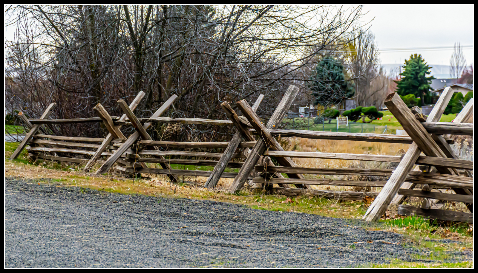 DSC_2920.JPG