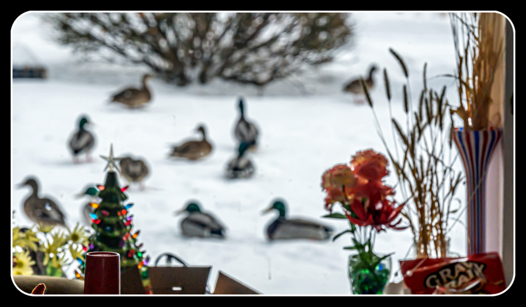 DSC_2922.JPG