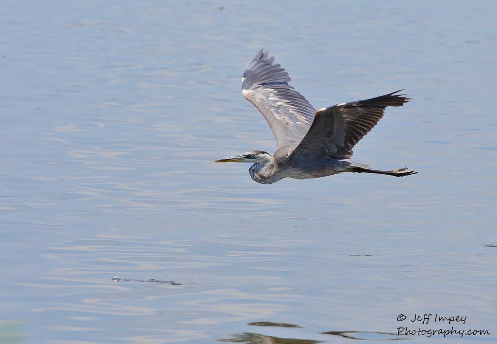 DSC_2923.jpg
