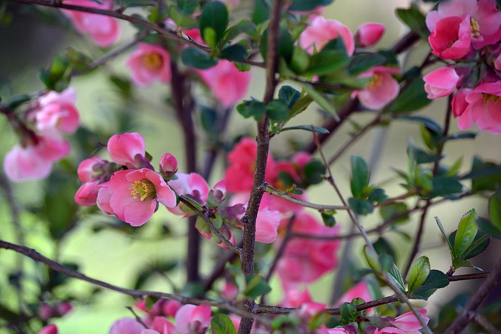 DSC_2923.jpg