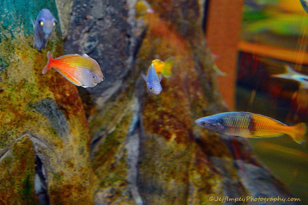 DSC_2927.jpg
