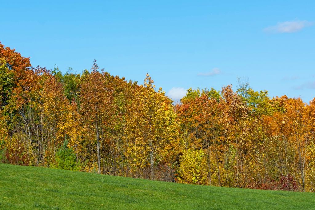 DSC_2927.jpg
