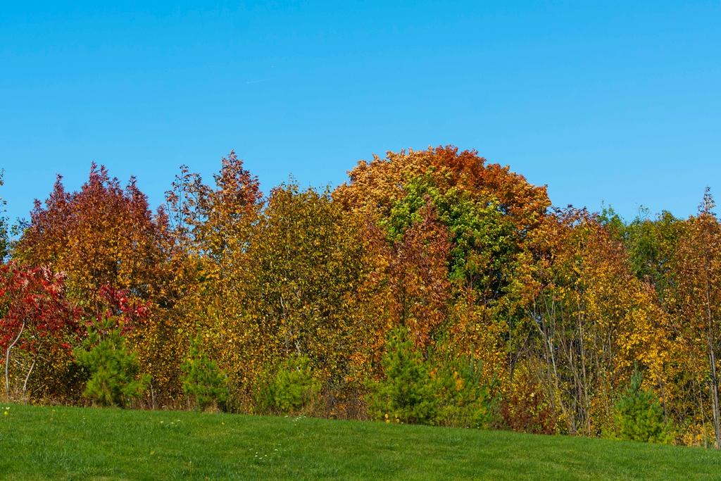 DSC_2928.jpg