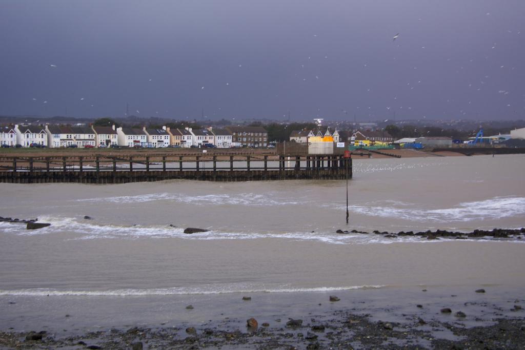 DSC_2928.jpg