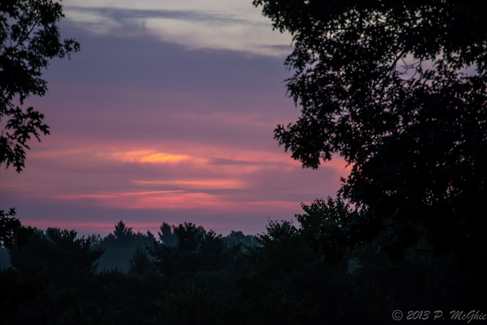 DSC_2933.jpg