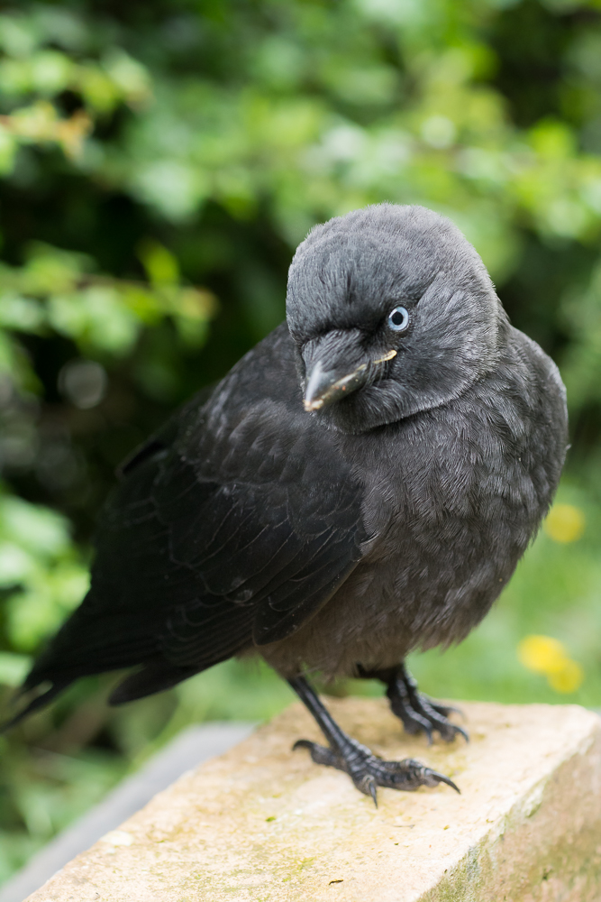 DSC_2935.jpg