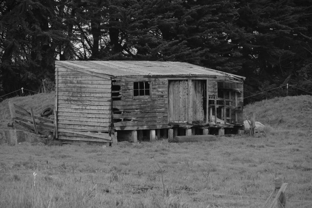 DSC_2938 B & W.jpg