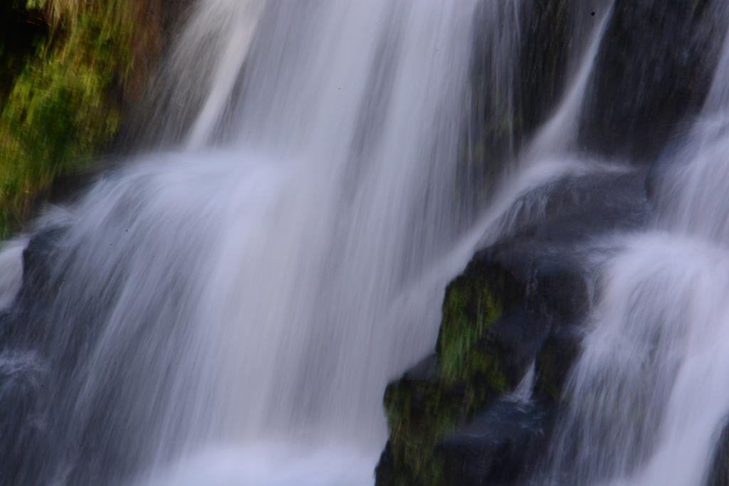 DSC_2938.jpg