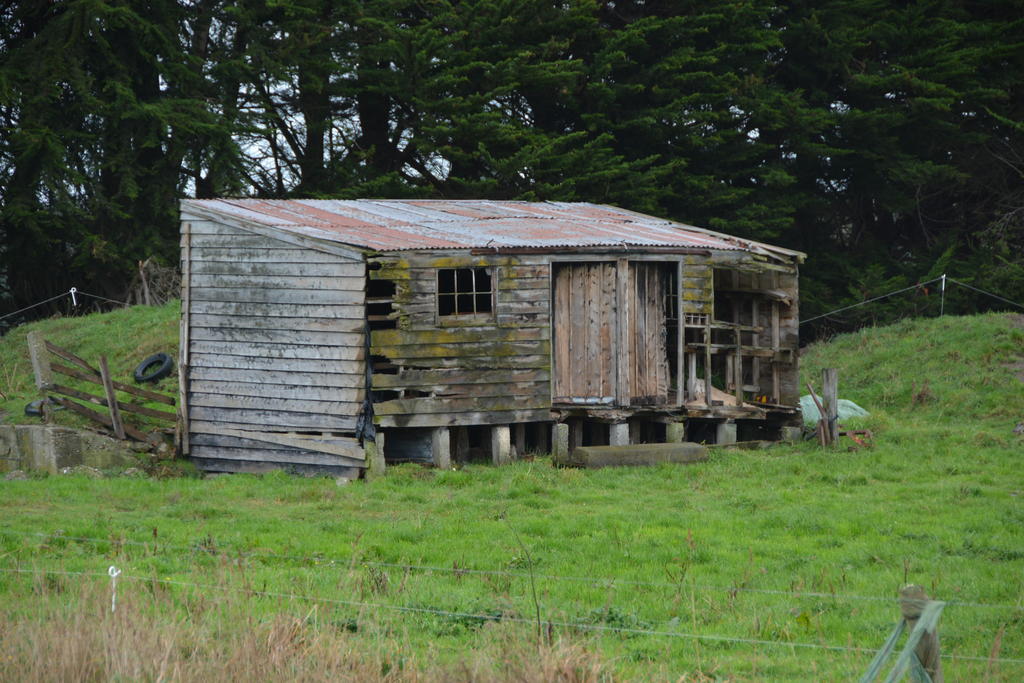 DSC_2938.jpg