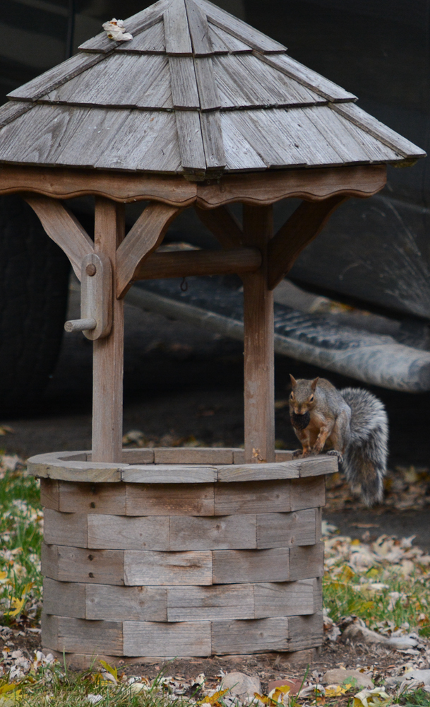 DSC_2939.jpg