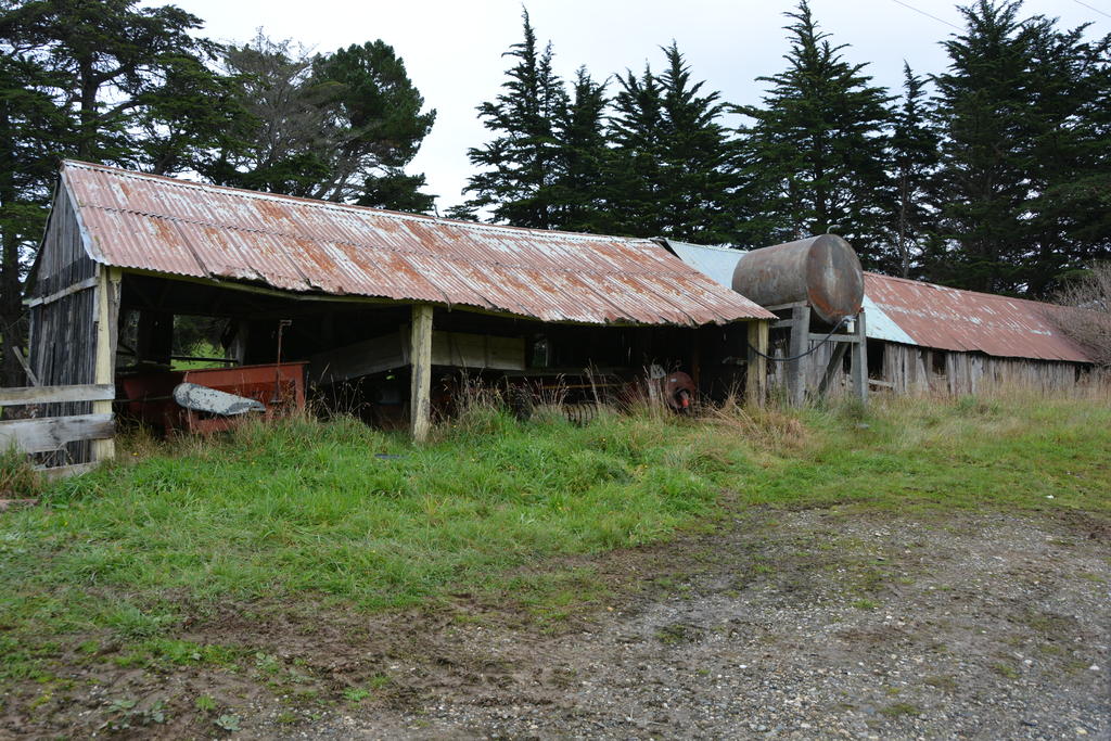 DSC_2939.jpg