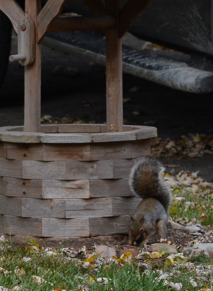DSC_2940.jpg