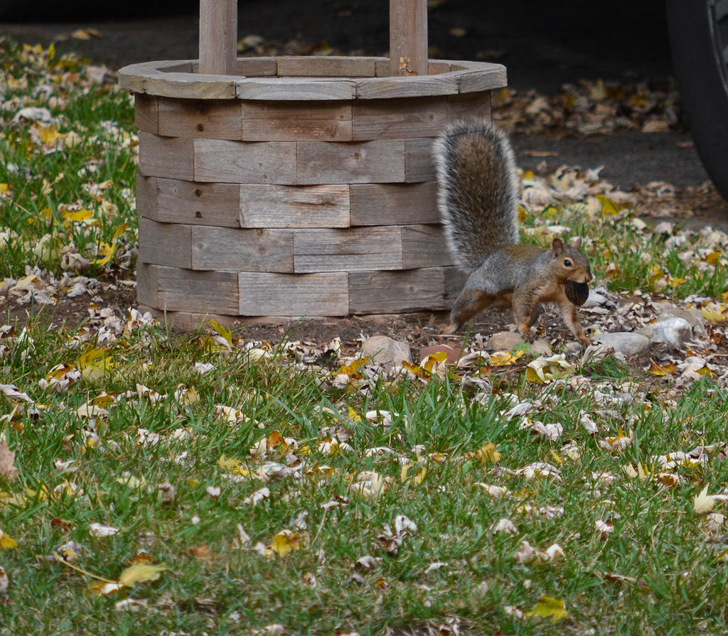 DSC_2943.jpg