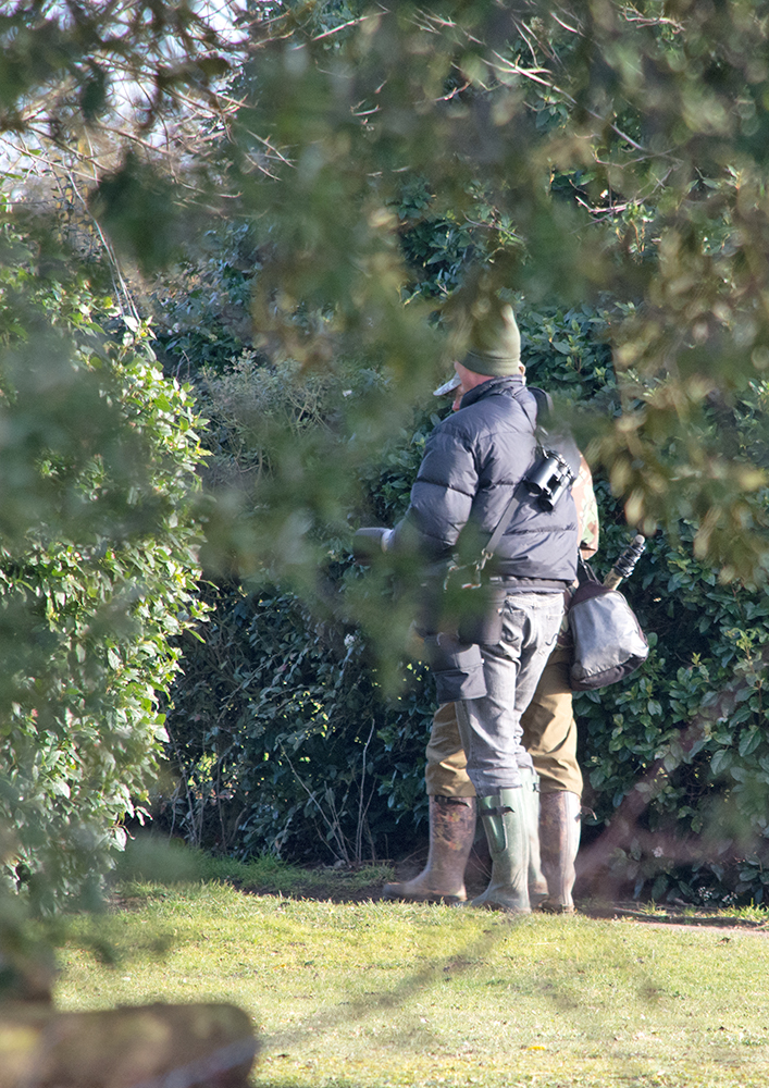 DSC_2946.jpg