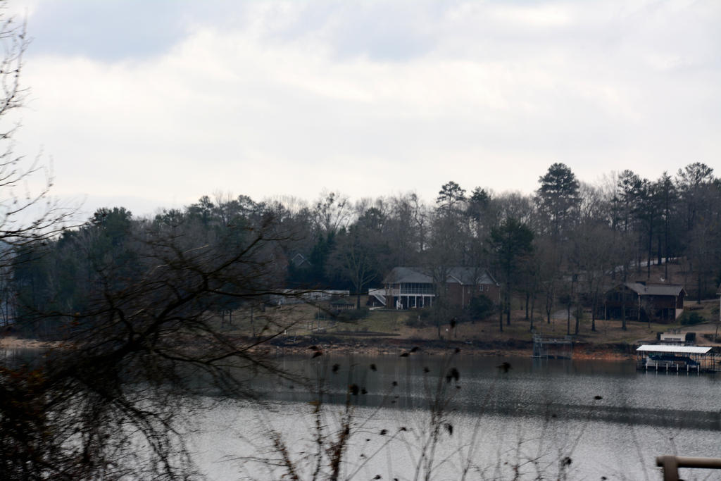 DSC_2950.jpg