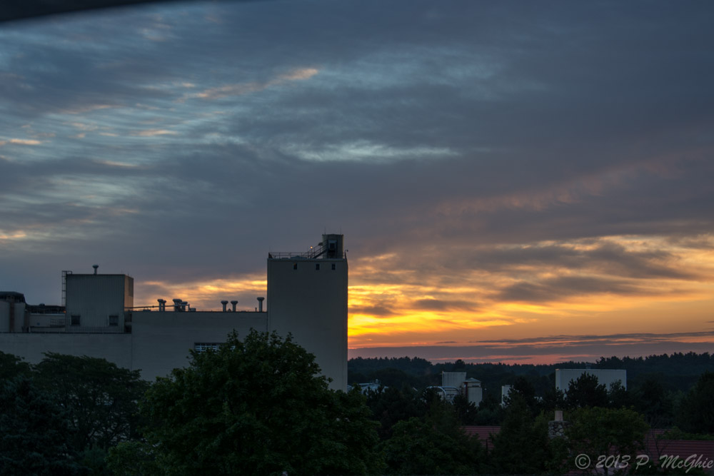 DSC_2950.jpg