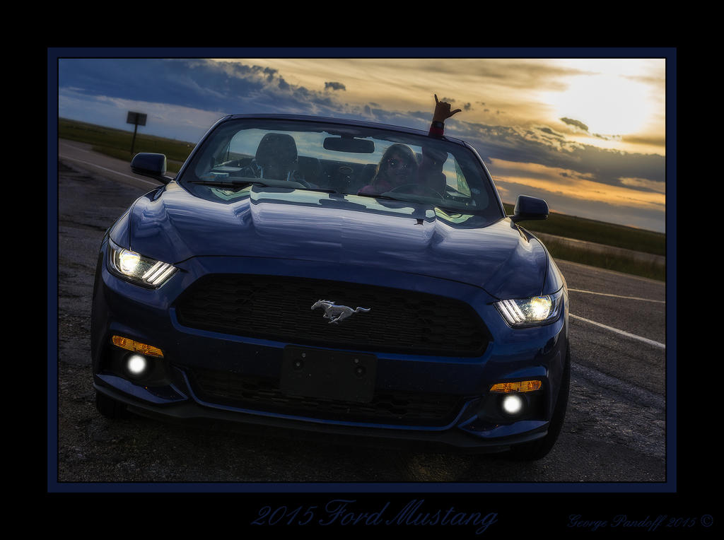 DSC_2951Mustang.jpg