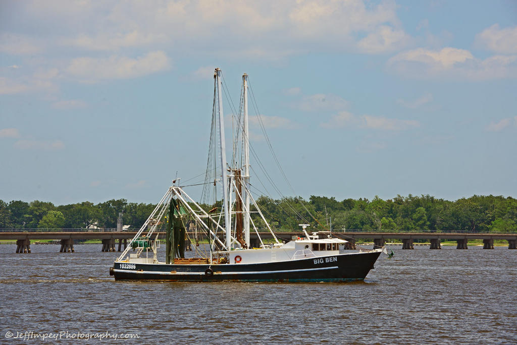 DSC_2952.jpg