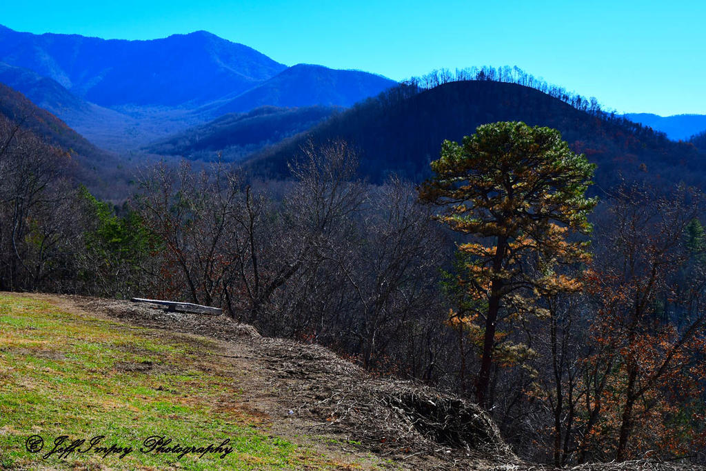 DSC_2953.jpg