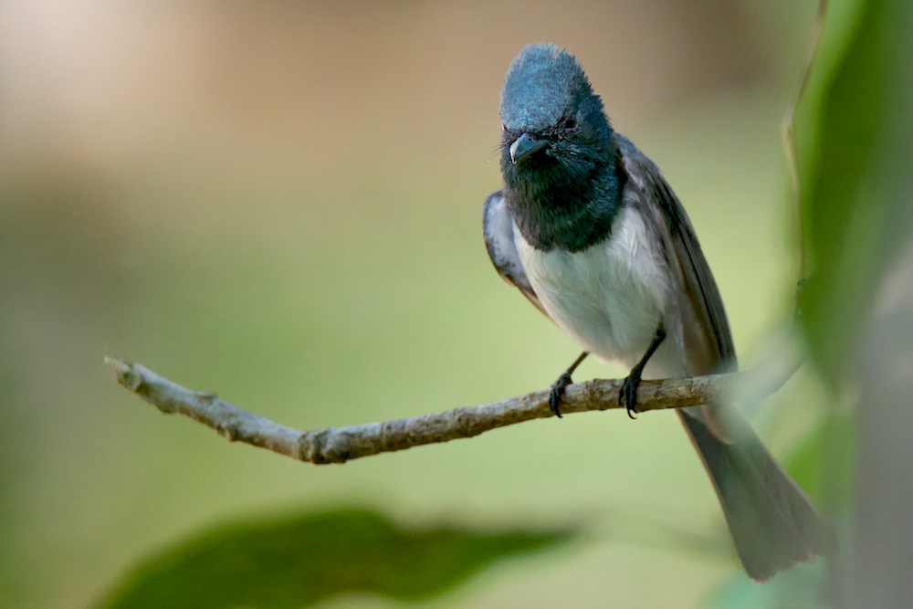 DSC_2958.jpg