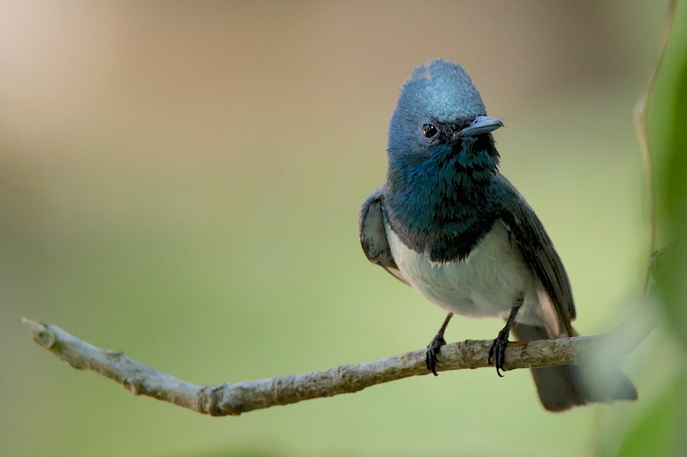 DSC_2959.jpg