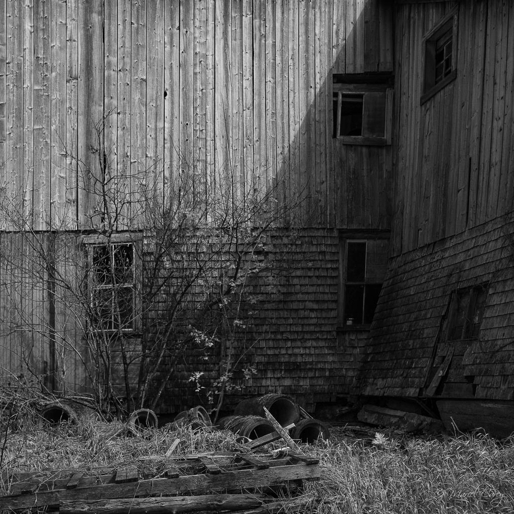 DSC_2960.jpg