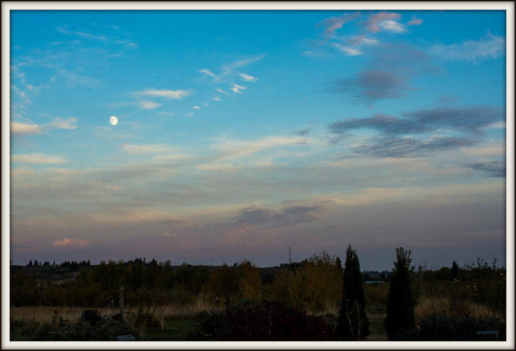 DSC_2961-001.jpg