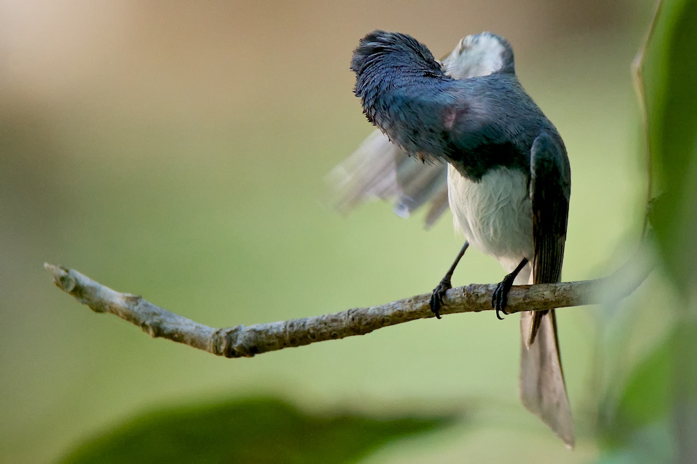 DSC_2962.jpg